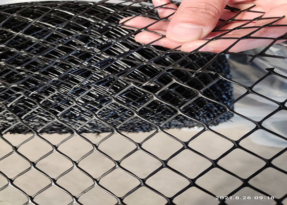 Màu đen phẳng 20x20mm Câu cá 100m Lưới nhựa hdpe 6cm Apeture